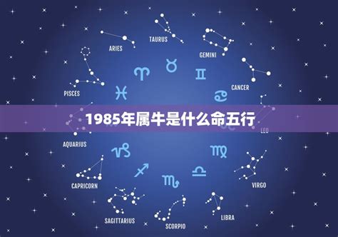 1985五行属什么